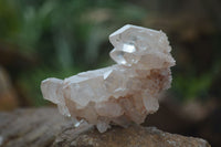 Natural Mixed Quartz Crystals & Clusters  x 16 From Zambia - TopRock