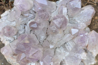 Natural Jacaranda Amethyst Crystal Plate Specimen  x 1 From Zambia - TopRock