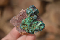 Natural Classic Emerald Dioptase Crystal Specimens  x 2 From Likasi, Congo