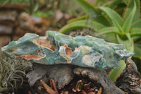 Polished Emerald Mtorolite / Chrome Chrysoprase Plates  x 2 From Mutorashanga, Zimbabwe - TopRock