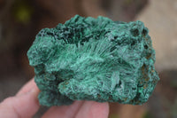 Natural Chatoyant Silky Malachite Specimens  x 2 From Congo - Toprock Gemstones and Minerals 