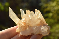 Natural Small Mixed Quartz Clusters With Nice Intact Crystals  x 35 From Madagascar - TopRock