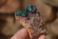 Natural Classic Emerald Dioptase Crystal Specimens  x 2 From Likasi, Congo