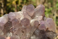 Natural Jacaranda Amethyst Crystal Plate Specimen  x 1 From Zambia - TopRock