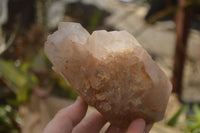 Polished Large Smokey Quartz Crystals x 2 From Angola