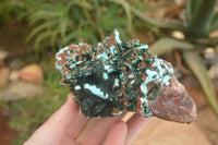 Natural Drusy Coated Chrysocolla & Malachite On Copper Dolomite x 1 From Likasi, Congo