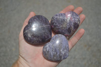 Polished Purple Lepidolite Hearts  x 6 From Madagascar - TopRock