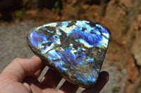 Polished Labradorite Standing Free Forms With Intense Blue & Gold Flash x 3 From Sakoany, Madagascar - TopRock