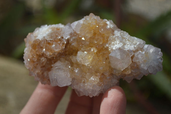 Natural Mixed Spirit Quartz Clusters x 7 From Boekenhouthoek, South Africa