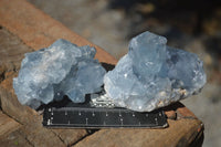 Natural Blue Celestite Crystal Specimens  x 5 From Sakoany, Madagascar - Toprock Gemstones and Minerals 