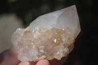 Natural White Cactus Flower Spirit Quartz Specimens  x 12 From Boekenhouthoek, South Africa - Toprock Gemstones and Minerals 