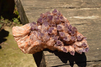 Natural Sugar Amethyst Cluster x 1 From Zambia - TopRock