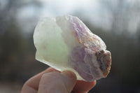 Natural Rough Watermelon Fluorite Cobbed Specimens  x 35 From Uis, Namibia