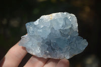 Natural Blue Celestite Crystal Specimens  x 5 From Sakoany, Madagascar - Toprock Gemstones and Minerals 