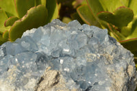 Natural Blue Celestite With Nice Cubic Crystals  x 1 From Sakoany, Madagascar - TopRock