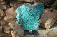 Natural Extra Large Silica Chrysocolla Specimen x 1 From Kulukuluku, Congo