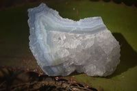 Natural Etched Blue Chalcedony Specimens  x 12 From Nsanje, Malawi