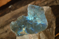 Polished  One Side Polished Labradorite Slices  x 12 From Tulear, Madagascar