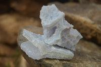 Natural Etched Blue Chalcedony Specimens  x 12 From Nsanje, Malawi