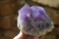 Natural Dark Amethyst Crystal Clusters x 6 From Zambia