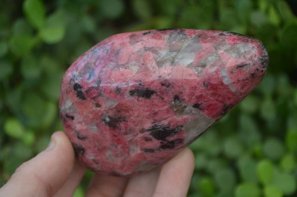 Polished Red Rhodonite Free Forms x 3 From Zimbabwe