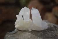 Natural Small Quartz Clusters  x 35 From Madagascar