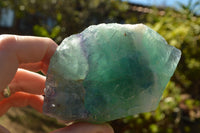 Natural Cobbed & Stone Sealed Watermelon Fluorite Pieces x 12 From Uis, Namibia - TopRock