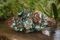 Natural Drusy Coated Chrysocolla & Malachite On Copper Dolomite x 1 From Likasi, Congo