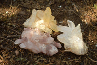 Natural Small Mixed Quartz Clusters With Nice Intact Crystals  x 35 From Madagascar - TopRock