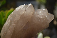 Polished Large Smokey Quartz Crystals x 2 From Angola