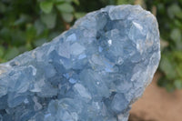 Natural Blue Celestite Geode Specimen  x 1 From Sakoany, Madagascar