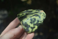 Polished Large Leopard stone Free Forms x 6 From Zimbabwe - Toprock Gemstones and Minerals 