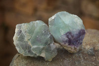 Natural Rough Watermelon Fluorite Cobbed Specimens  x 35 From Uis, Namibia