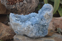 Natural Blue Celestite Geode Specimen  x 1 From Sakoany, Madagascar