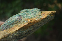 Natural Blue Kyanite Crystals In Fuchsite Matrix Specimens  x 4 From Zimbabwe - Toprock Gemstones and Minerals 