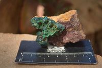 Natural Classic Emerald Dioptase Crystal Specimens  x 2 From Likasi, Congo