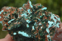 Natural Drusy Coated Chrysocolla & Malachite On Copper Dolomite x 1 From Likasi, Congo