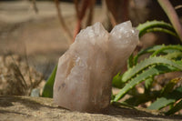 Polished Large Smokey Quartz Crystals x 2 From Angola