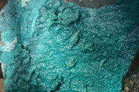 Natural Extra Large Silica Chrysocolla Specimen x 1 From Kulukuluku, Congo