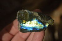 Polished  One Side Polished Labradorite Slices  x 12 From Tulear, Madagascar