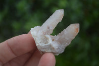 Natural Small Mixed Spirit Quartz Specimens  x 35 From Boekenhouthoek, South Africa - Toprock Gemstones and Minerals 