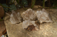 Natural Smokey Quartz Clusters  x 4 From Madagascar