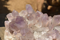 Natural Jacaranda Amethyst Crystal Plate Specimen  x 1 From Zambia - TopRock