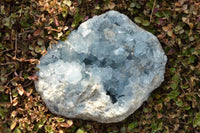 Natural Blue Celestite With Nice Cubic Crystals  x 1 From Sakoany, Madagascar - TopRock