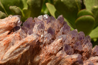 Natural Sugar Amethyst Cluster x 1 From Zambia - TopRock