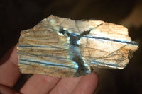 Polished  One Side Polished Labradorite Slices  x 12 From Tulear, Madagascar