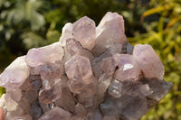 Natural Jacaranda Amethyst Crystal Plate Specimen  x 1 From Zambia - TopRock