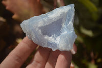 Natural Etched Blue Chalcedony Specimens  x 12 From Nsanje, Malawi