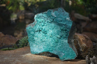 Natural Extra Large Silica Chrysocolla Specimen x 1 From Kulukuluku, Congo