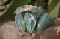 Natural Rough Green Jade Cobbed Specimens x 37 From Swaziland